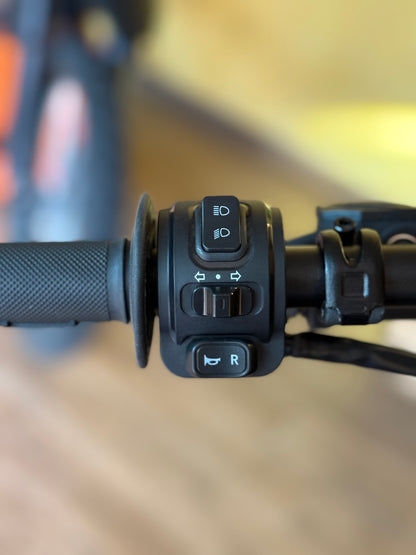 E-Ride Pro SS 3.0 (L1e)