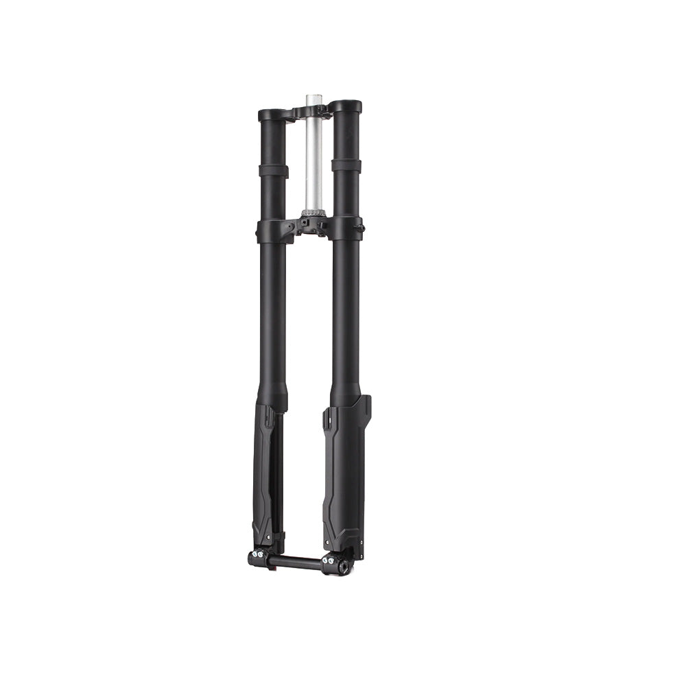Einstellbare FASTACE Federgabel E-RIDE PRO 2.0/SE
