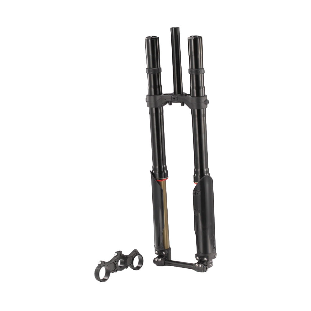 FASTACE Vorderradgabel E-RIDE PRO 3.0/SR