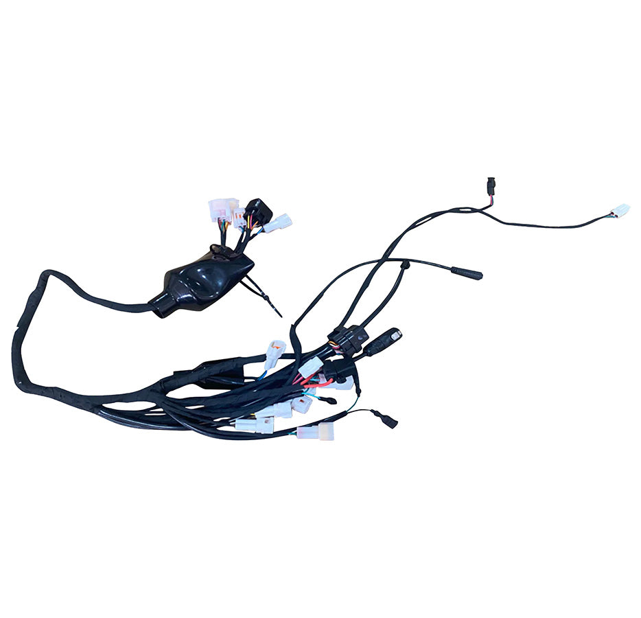 Hauptkabelbaum E-RIDE PRO 2.0/SE