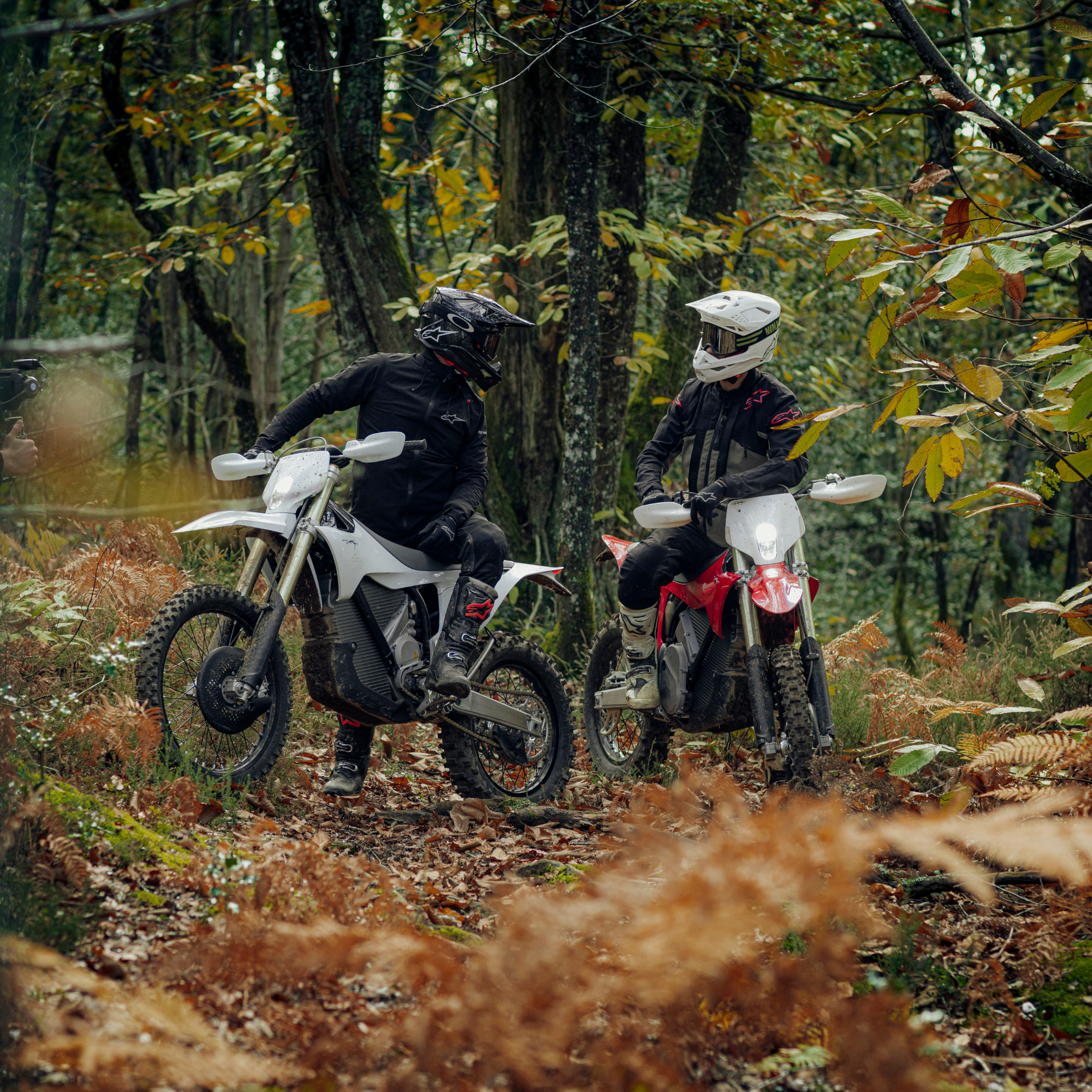 Stark VARG EX mit Fahrer in einem herbstlichen Wald